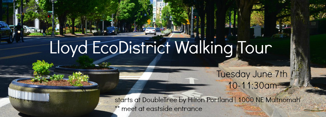 EcoDistrict walk banner no frame