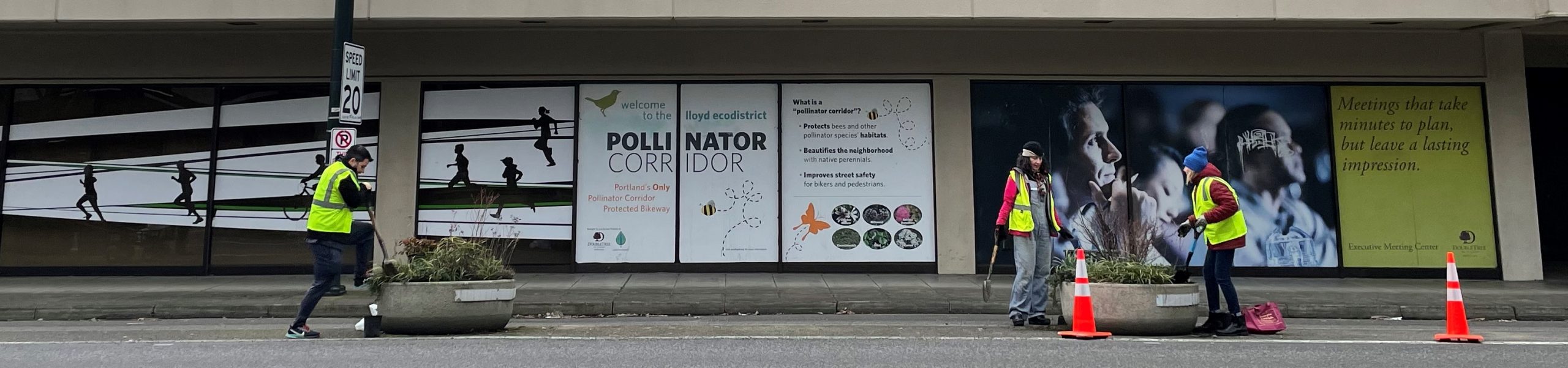 Three volunteers replanting two large planters in front of a window banner that says "Welcome to the Lloyd EcoDistrict Pollinator Corridor".