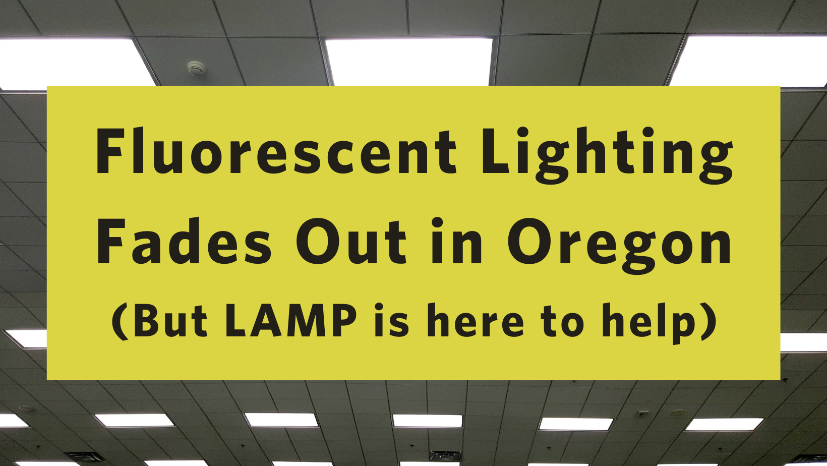LAMP-Fluorescent-Lighting-Fades-Out-in-Oregon
