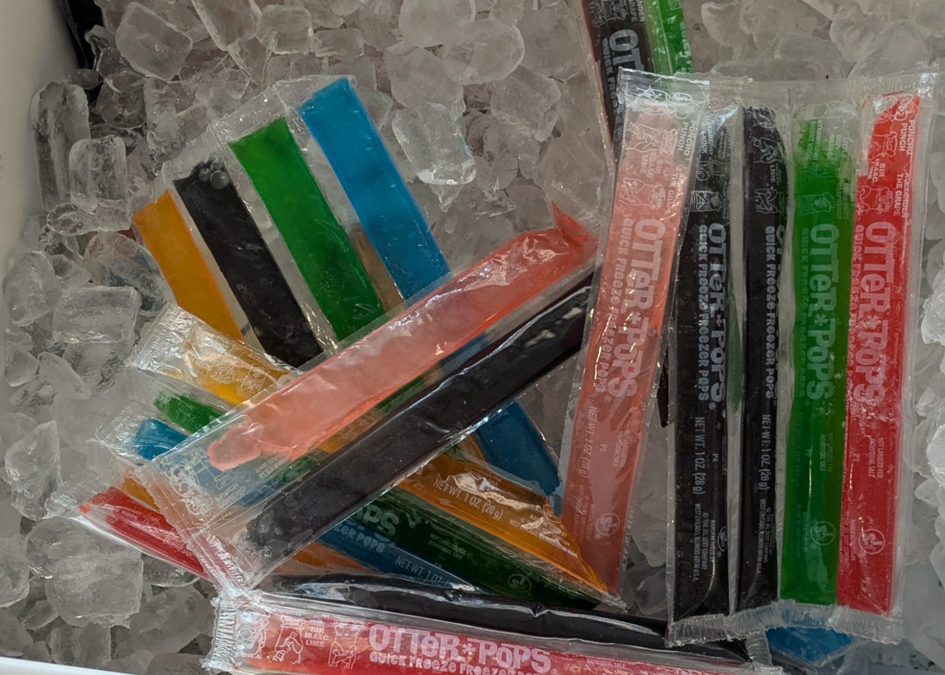 image of otter pops in ice