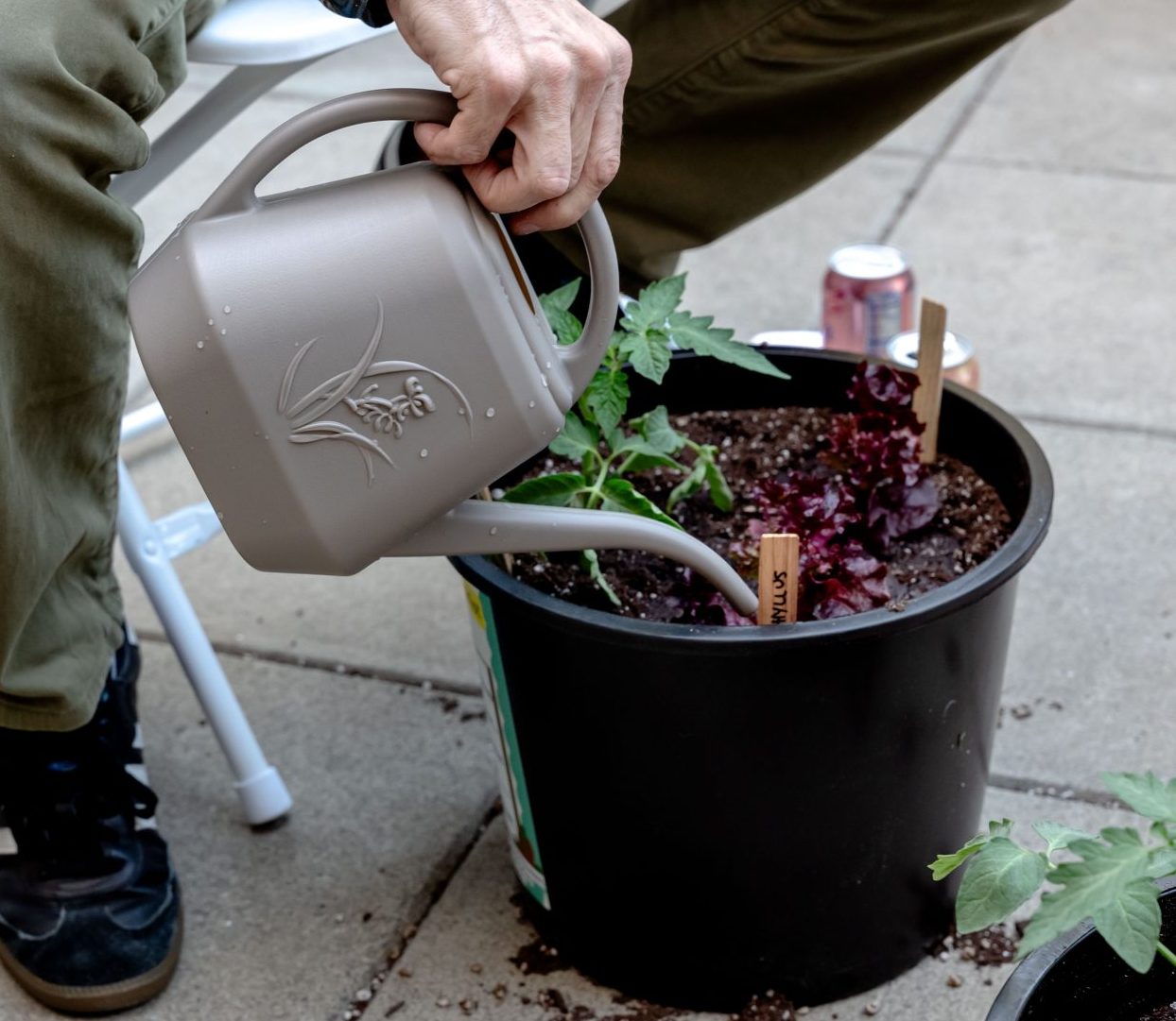 Gardening 2024