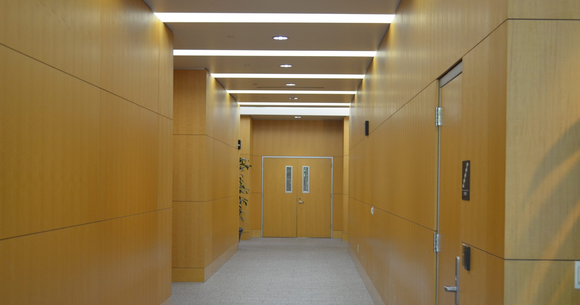 lighting in a commercial office building retrofitted through LAMP.