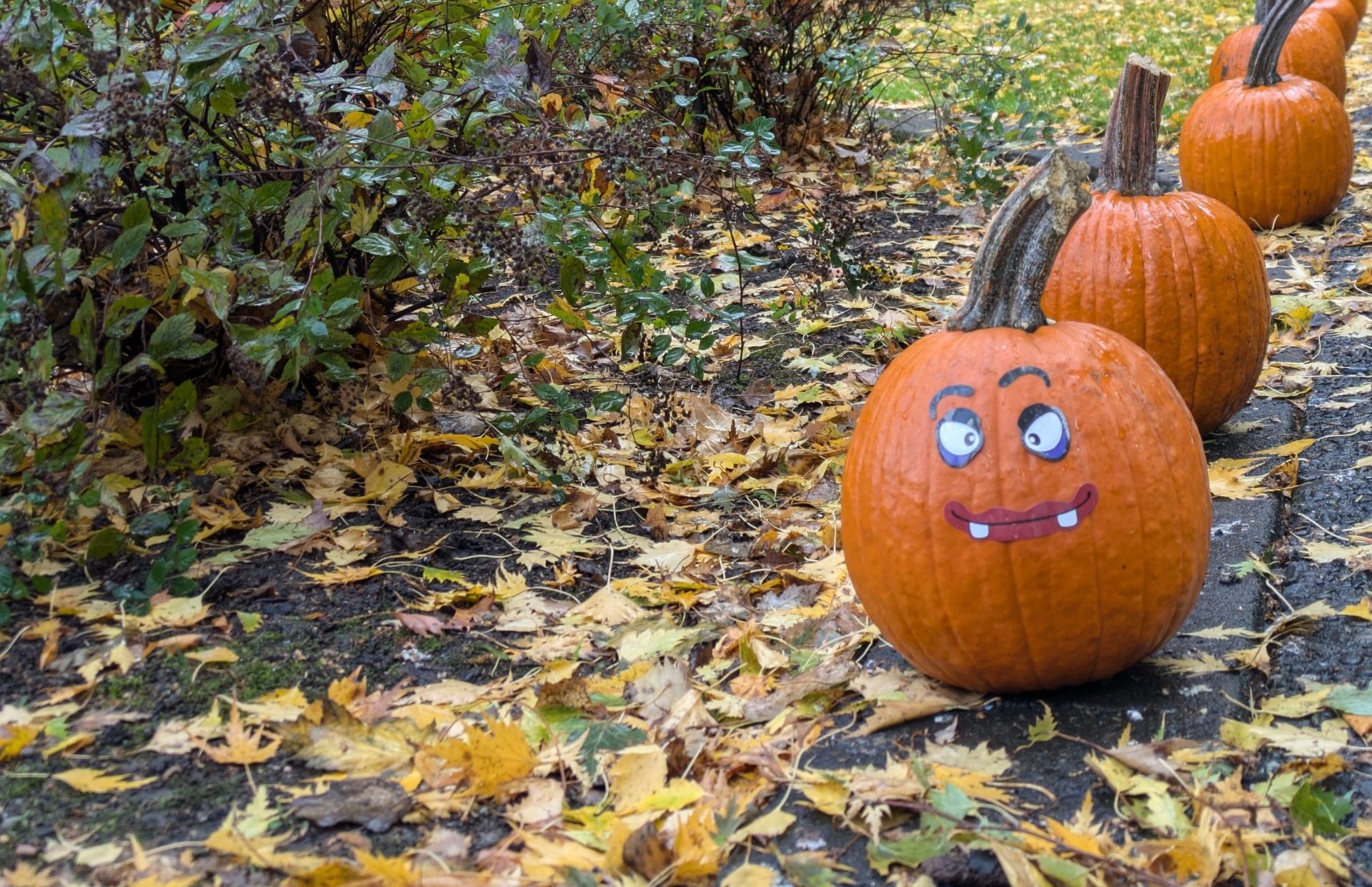 A photo of a pumpkin with a face made of stickers sitting in a park.