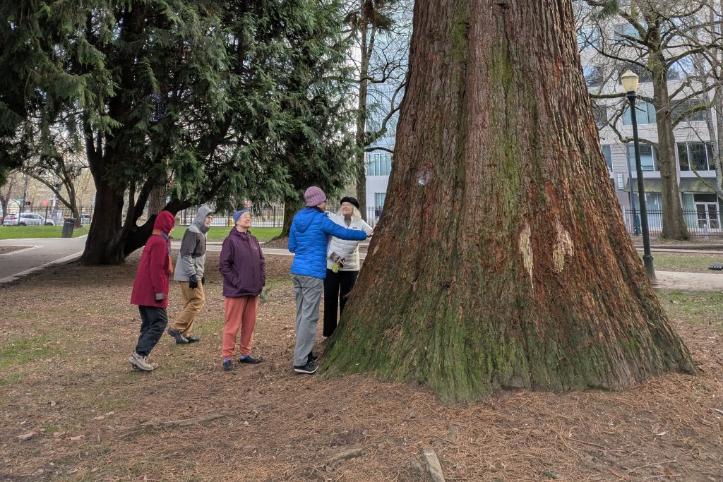 5 people stand around the base of the very large tree in Holladay Park, with two people touching the bark.
