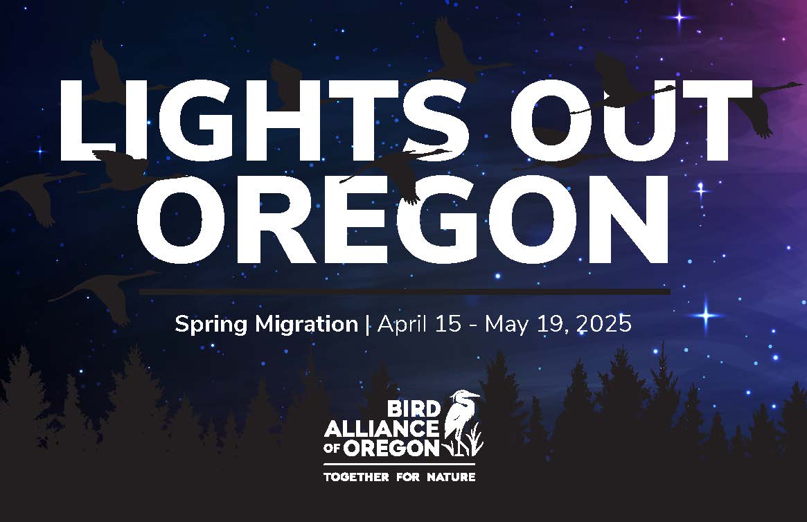 Lights Out Oregon flier featuring the night sky a with birds and stars