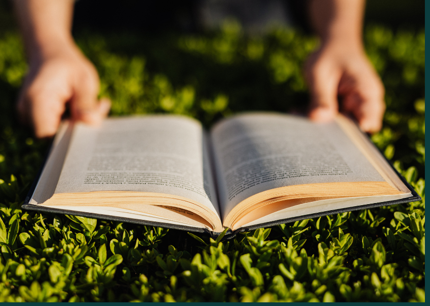 a book open on a green grass