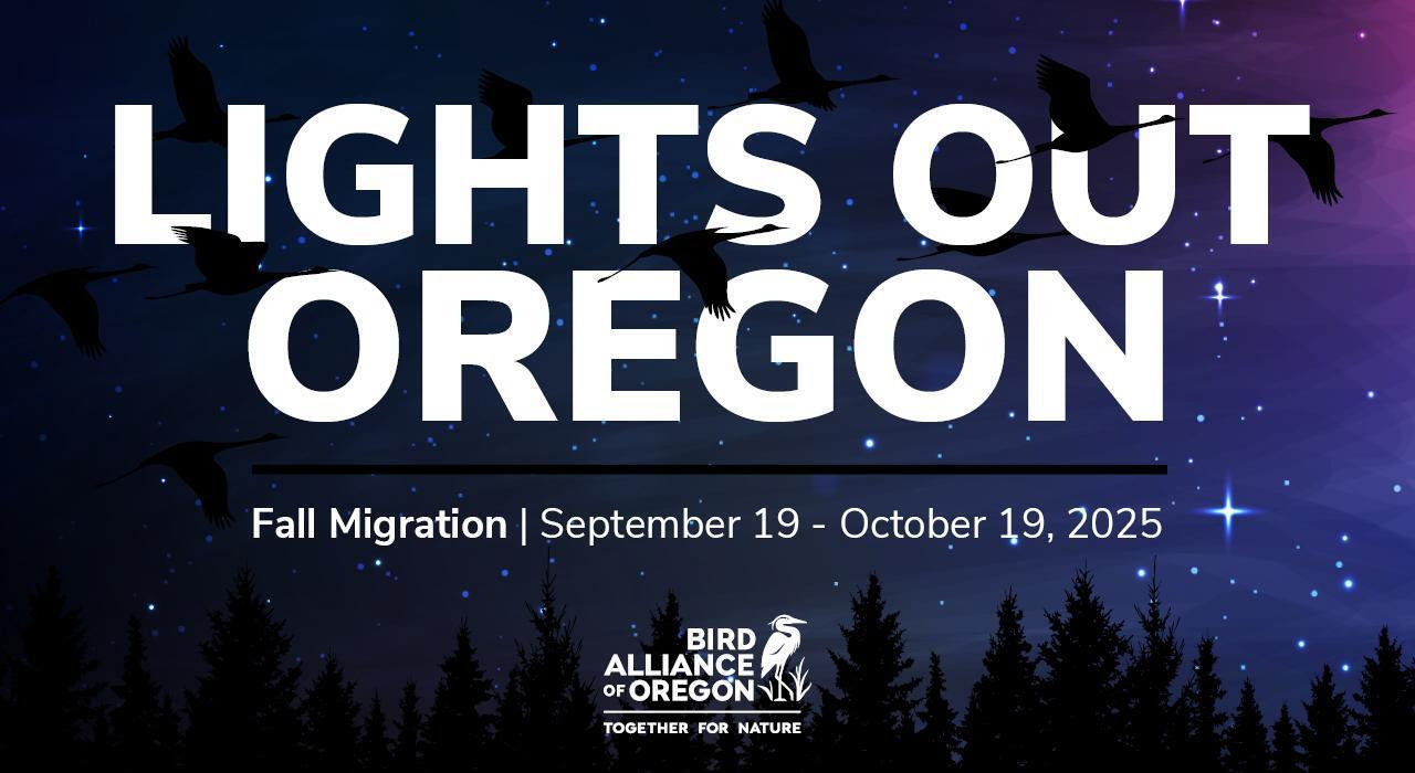 Lights Out Oregon flier featuring the night sky a with birds and stars