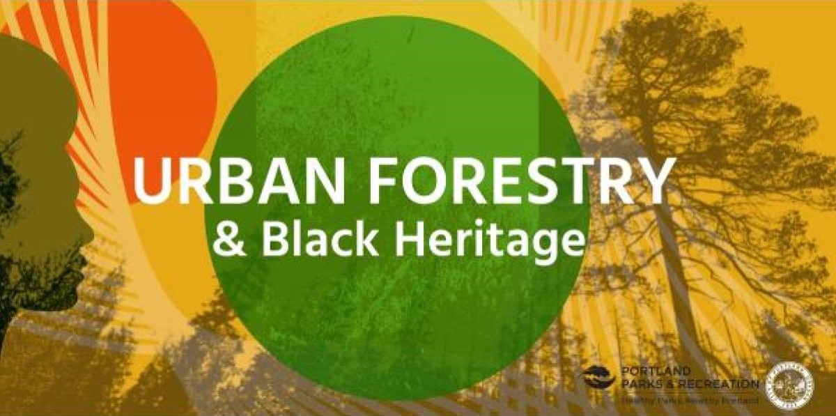 Urban Forestry & Black Heritage