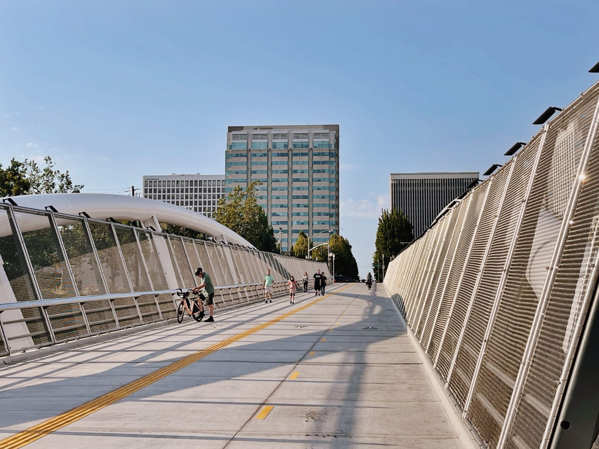 blumenauer bridge