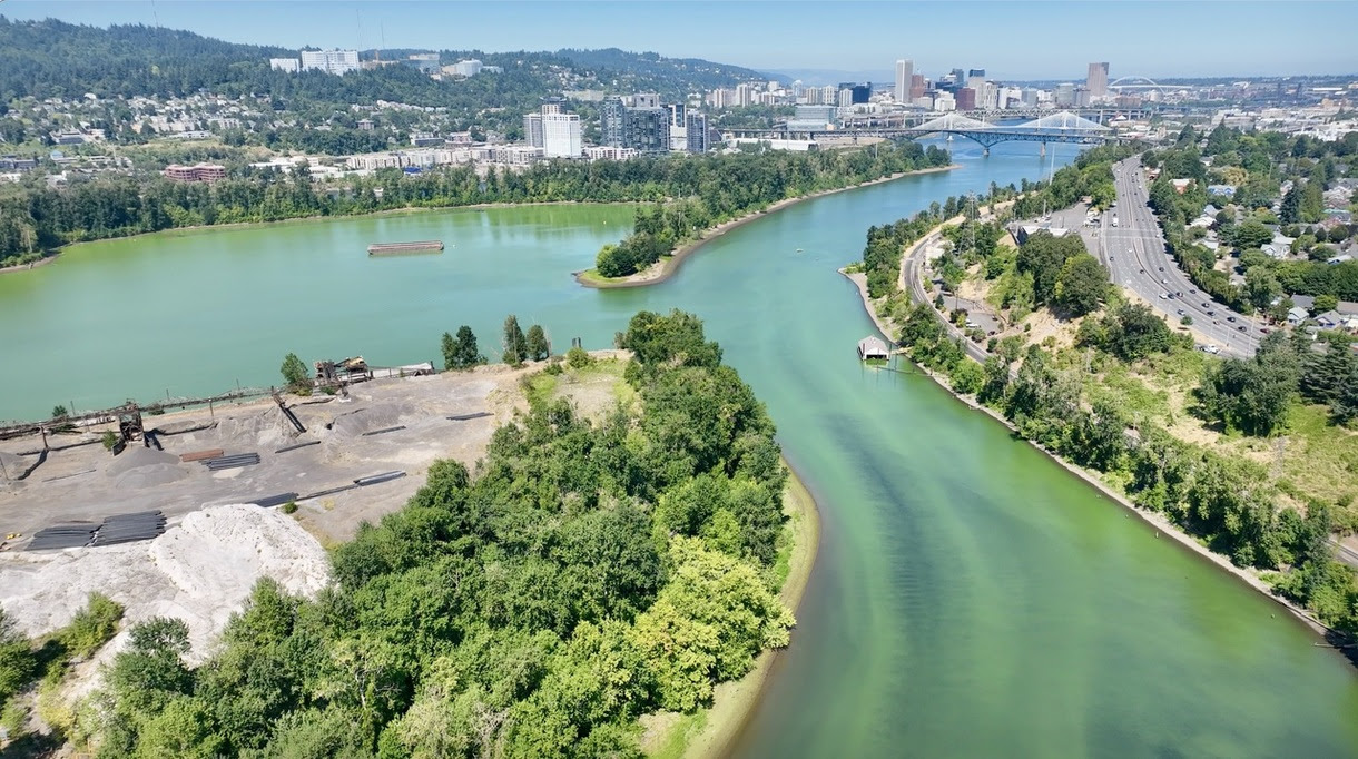 a picture of the algae bloom in ross island lagoon