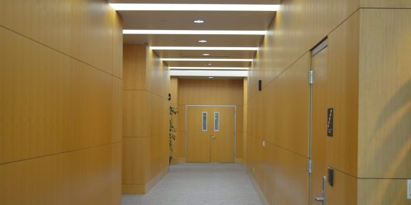 lighting in a commercial office building retrofitted through LAMP.