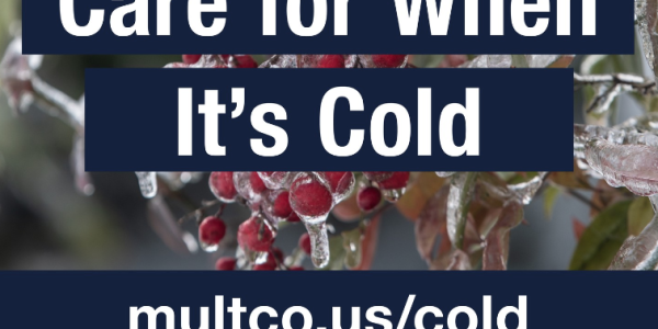 Cold-weather-help-with-cold