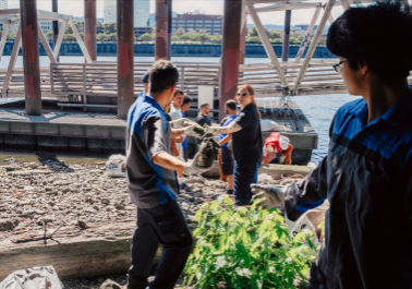 A few people on the riverbank assisting with cleaning up the beach