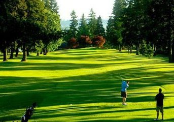 A picture of a golf field.