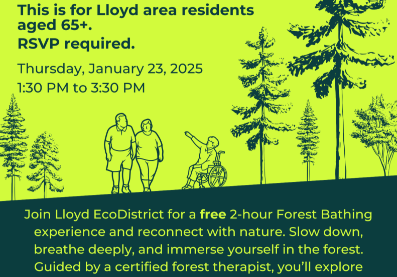 flier for the "Forest Bathing Walk for Elders" featuring graphic design images of trees and people walking and in wheel chairs.