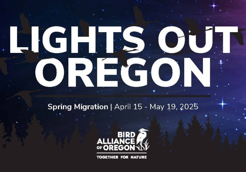 Lights Out Oregon flier featuring the night sky a with birds and stars