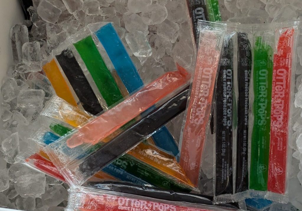 image of otter pops in ice