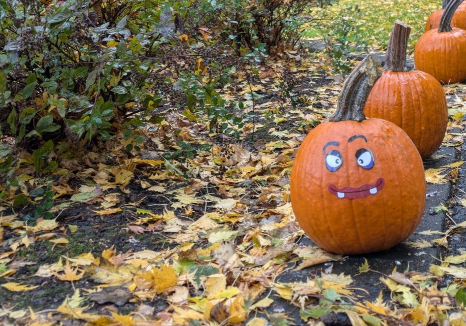 A photo of a pumpkin with a face made of stickers sitting in a park.