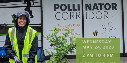 Pollinator-Corridor-Volunteer-Day-May-2023-Flier-Instagram-Post-Portrait