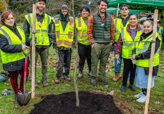 a group of people in neon green safety vests pose of a photo behind a newly planted tree.
