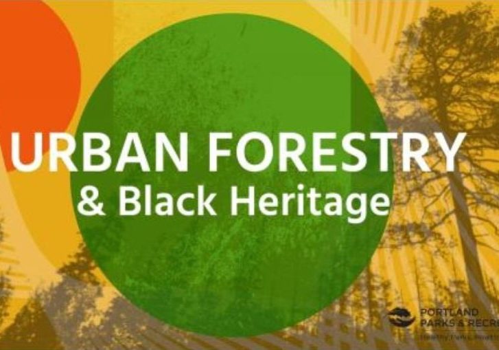 Urban Forestry & Black Heritage