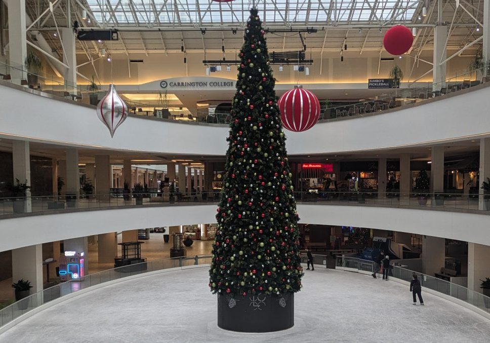 image of the Lloyd Center Ice Rink, with a christmas tree set up in the middle.
