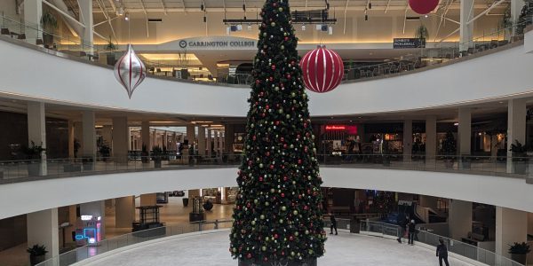 image of the Lloyd Center Ice Rink, with a christmas tree set up in the middle.