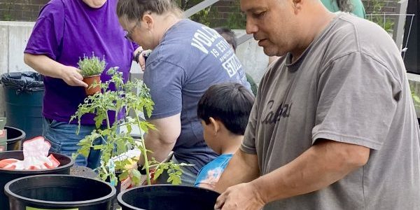 miracles planting event 1